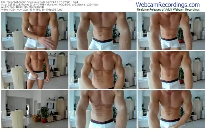 2024/12/02/stripchat-woolfiie-12-50-31