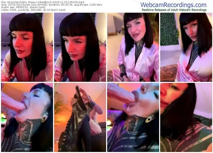 2024/12/03/stripchat-inkedbiitch-19-53-30
