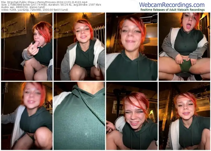 2024/12/03/stripchat-pennyprincess-21-41-22