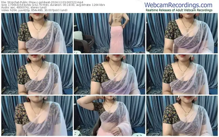 2024/12/03/stripchat-goldiwet-06-15-22