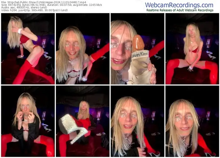 2024/12/03/stripchat-1nikivegas-04-48-17