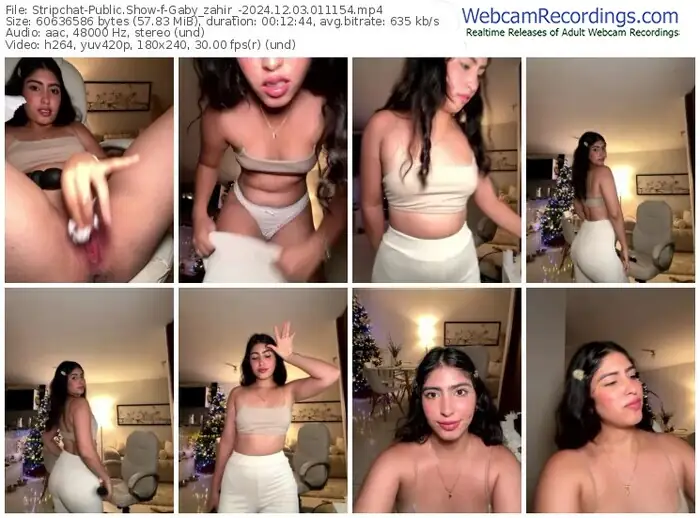2024/12/03/stripchat-gaby_zahir_-01-11-54