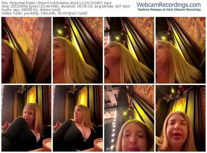 2024/12/03/stripchat-odriolsens-15-28-57