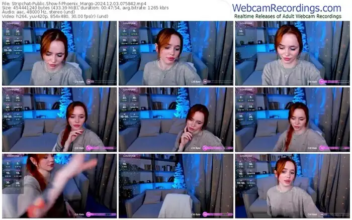 2024/12/03/stripchat-phoenix_margo-07-58-42