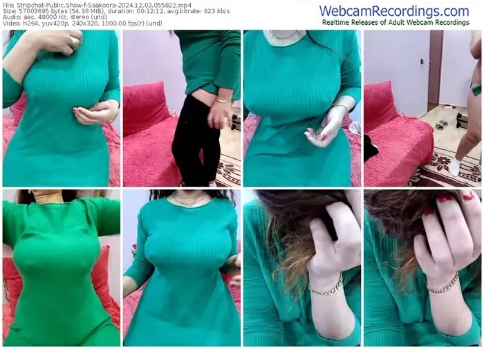2024/12/03/stripchat-saakoora-05-58-22