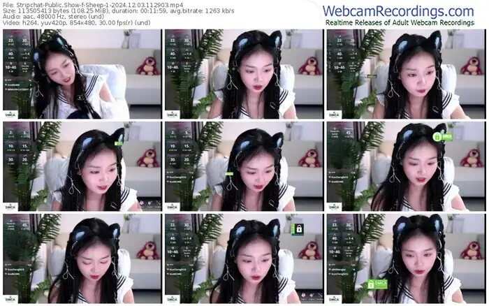 2024/12/03/stripchat-sheep-1-11-29-03