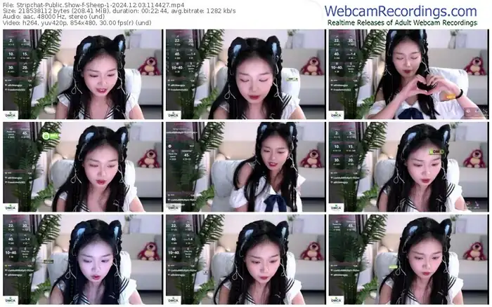 2024/12/03/stripchat-sheep-1-11-44-27