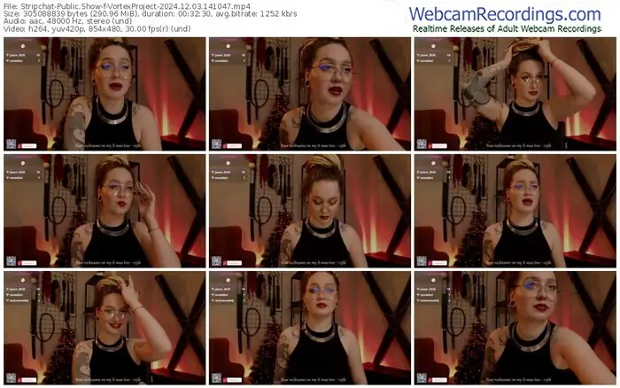 2024/12/03/stripchat-vortexproject-14-10-47