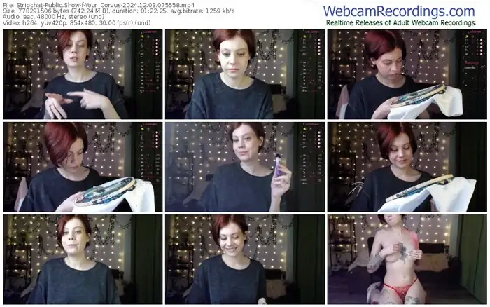 2024/12/03/stripchat-your_corvus-07-55-58