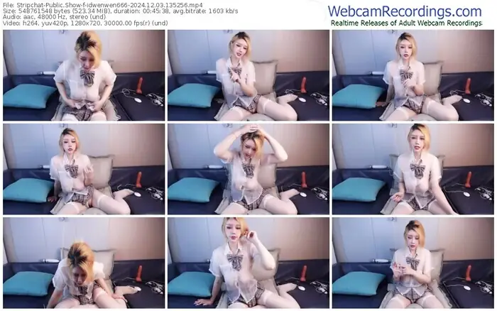 2024/12/03/stripchat-idwenwen666-13-52-56