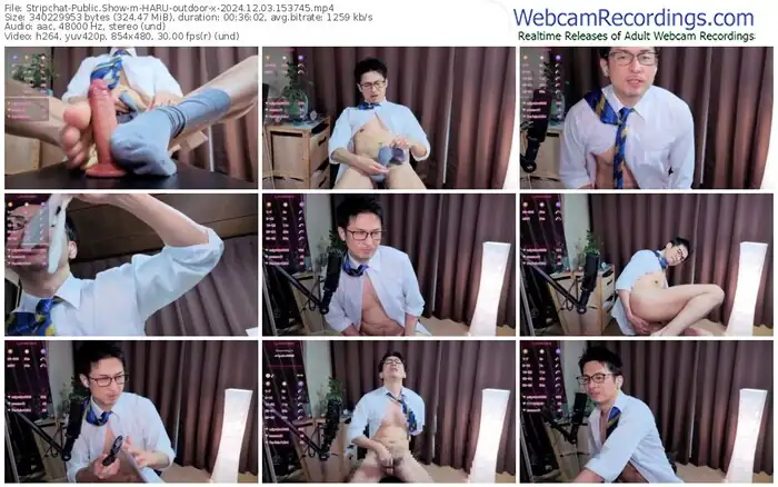 2024/12/03/stripchat-haru-outdoor-x-15-37-45