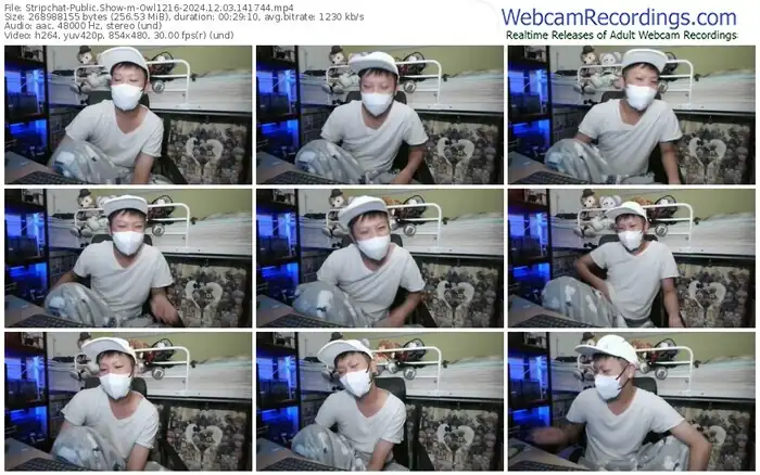2024/12/03/stripchat-owl1216-14-17-44