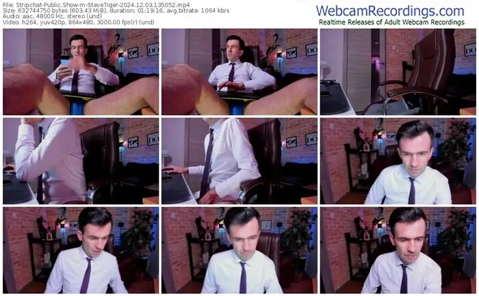 2024/12/03/stripchat-stevetiger-13-50-52