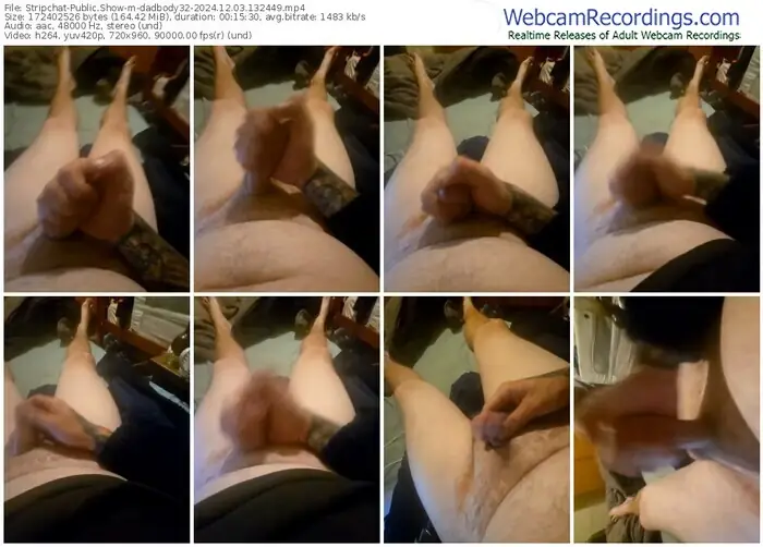 2024/12/03/stripchat-dadbody32-13-24-49