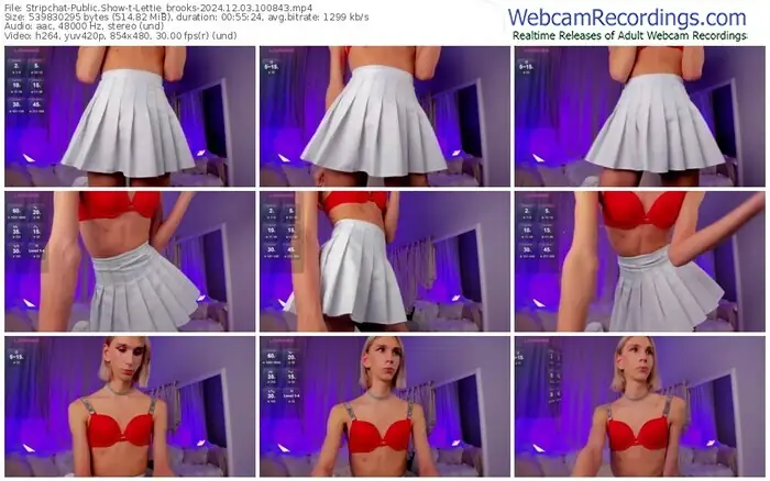 2024/12/03/stripchat-lettie_brooks-10-08-43