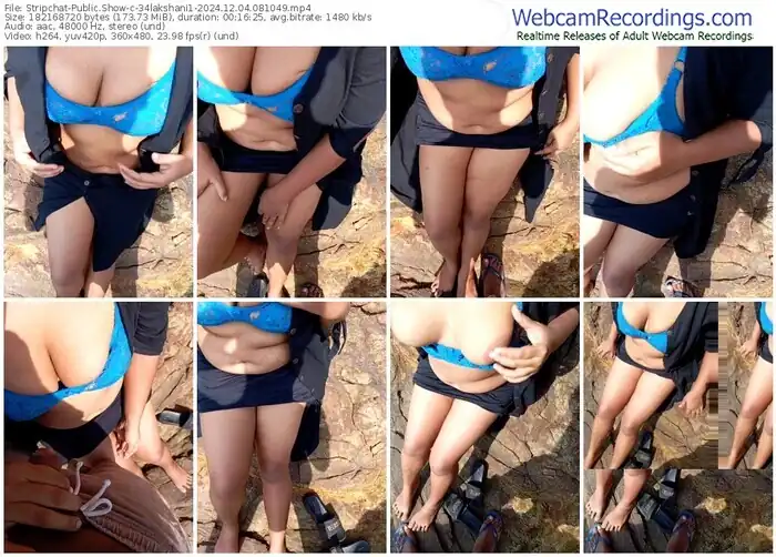 2024/12/04/stripchat-34lakshani1-08-10-49