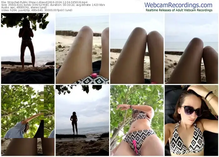 2024/12/04/stripchat-alexvit2616-04-50-18