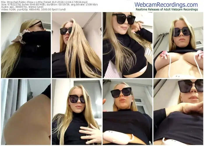 2024/12/04/stripchat-little_forest_elf-17-45-34