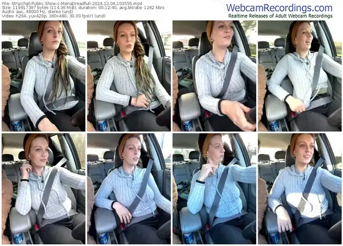 2024/12/04/stripchat-menadreadfull-10-35-55