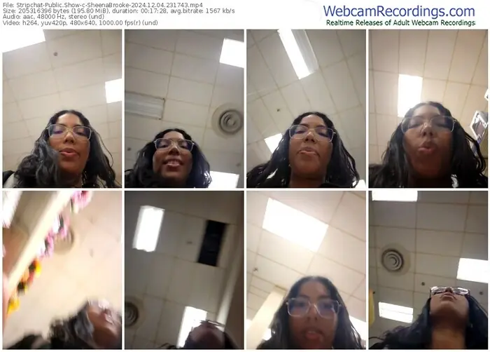 2024/12/04/stripchat-sheenabrooke-23-17-43