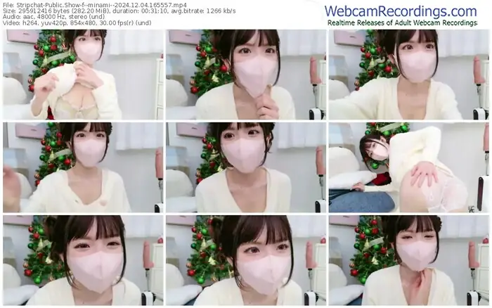 2024/12/04/stripchat--minami--16-55-57