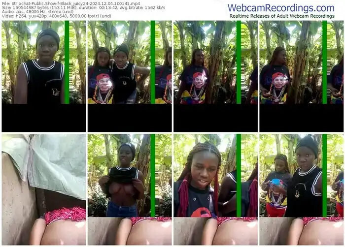 2024/12/04/stripchat-black_juicy24-10-01-41