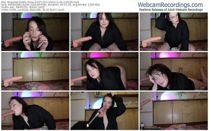 2024/12/04/stripchat-e3712tv-23-30-35