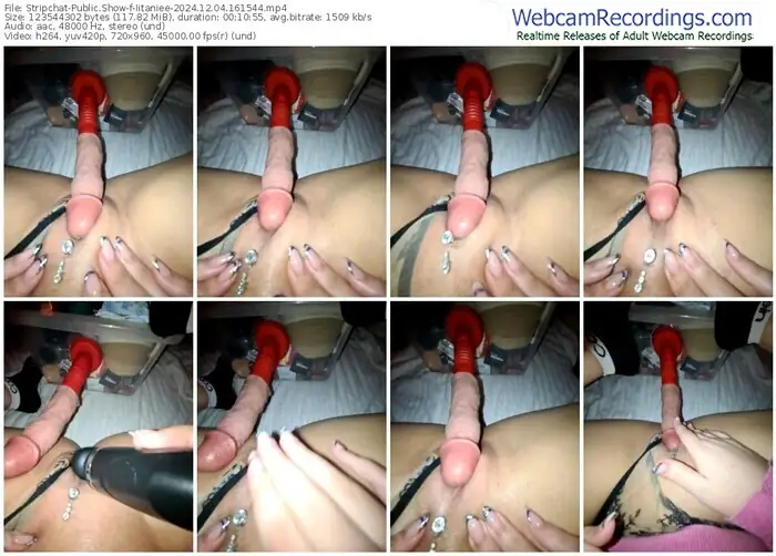 2024/12/04/stripchat-iitaniee-16-15-44