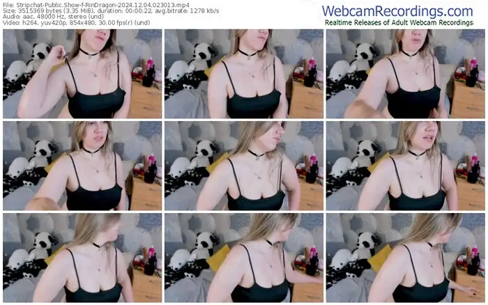 2024/12/04/stripchat-rindragon-02-30-13