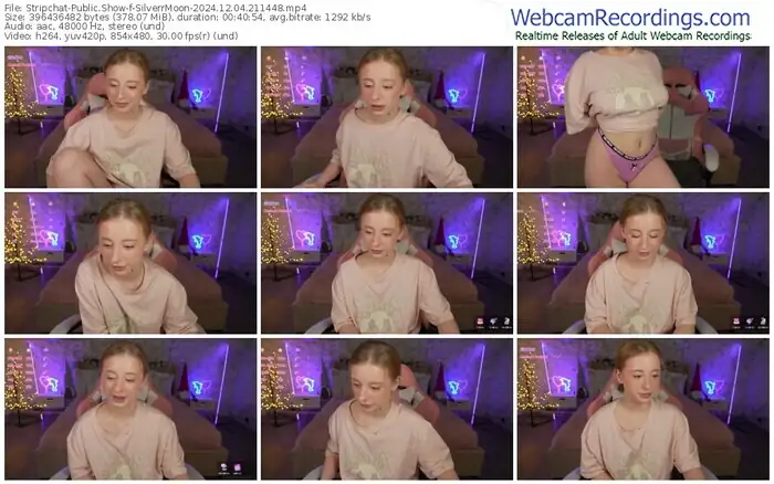 2024/12/04/stripchat-silverrmoon-21-14-48