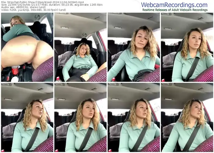 2024/12/04/stripchat-stasywood-04-39-40