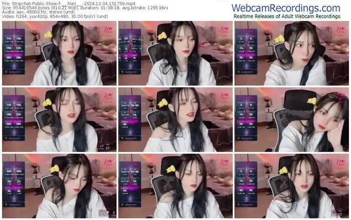 2024/12/04/stripchat-___nari___-15-17-59