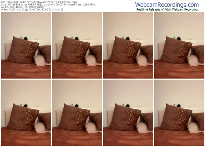 2024/12/04/stripchat-rebyrose-13-15-45