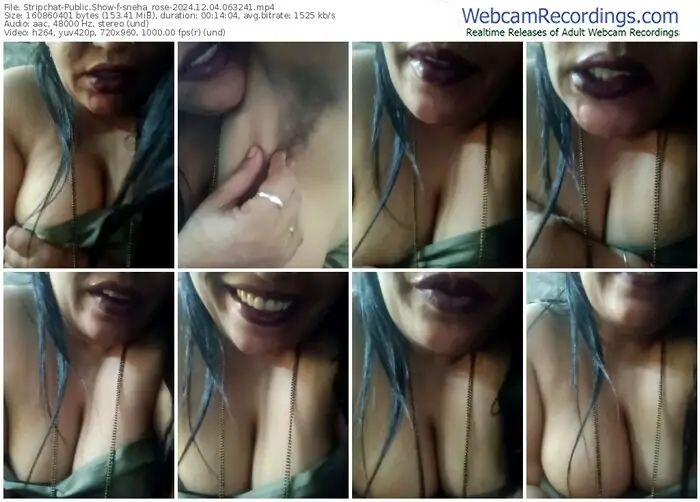 2024/12/04/stripchat-sneha_rose-06-32-41