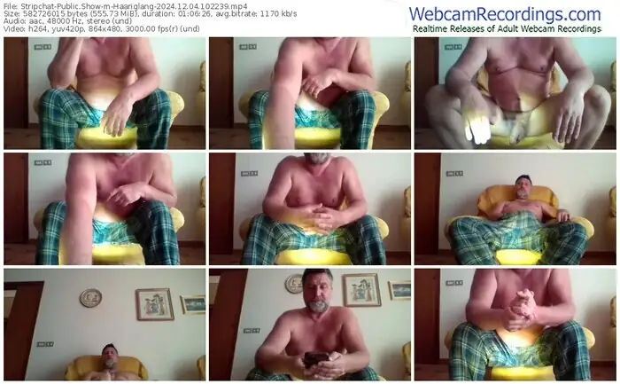 2024/12/04/stripchat-haariglang-10-22-39