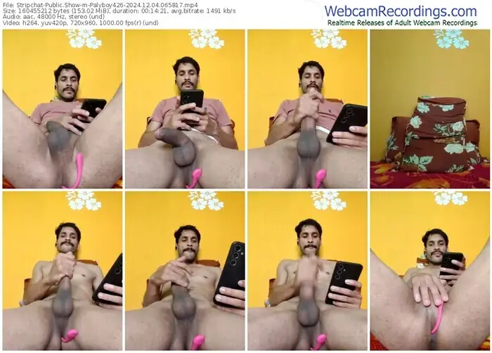 2024/12/04/stripchat-palyboy426-06-58-17