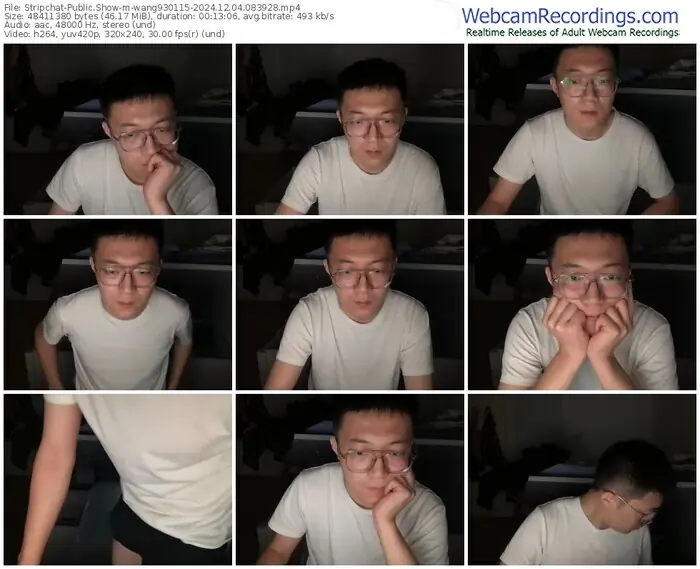 2024/12/04/stripchat-wang930115-08-39-28