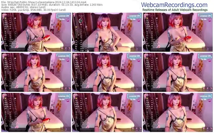 2024/12/04/stripchat-xlovemekara-14-11-24