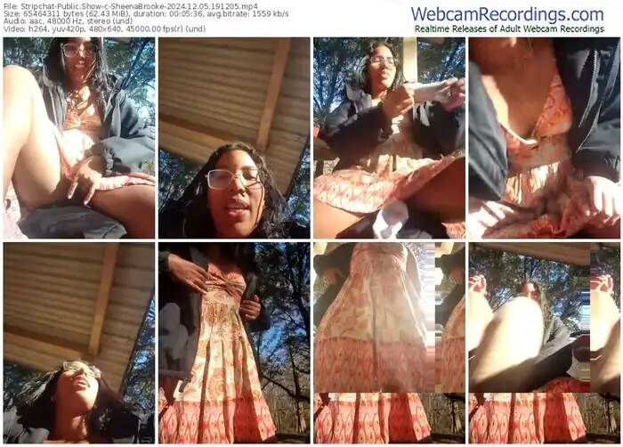 2024/12/05/stripchat-sheenabrooke-19-12-05