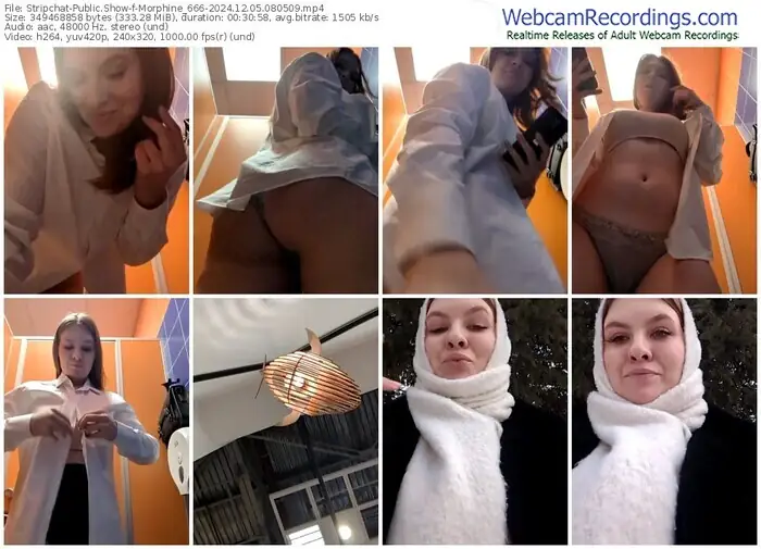 2024/12/05/stripchat-morphine_666-08-05-09