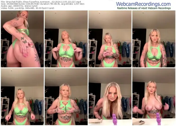 2024/12/05/stripchat-josefine_svensson__02-22-12-27
