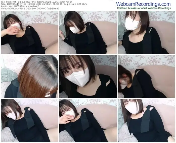 2024/12/05/stripchat-mei_hosina-15-29-47