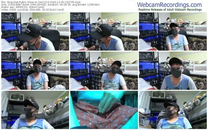 2024/12/05/stripchat-owl1216-13-37-05