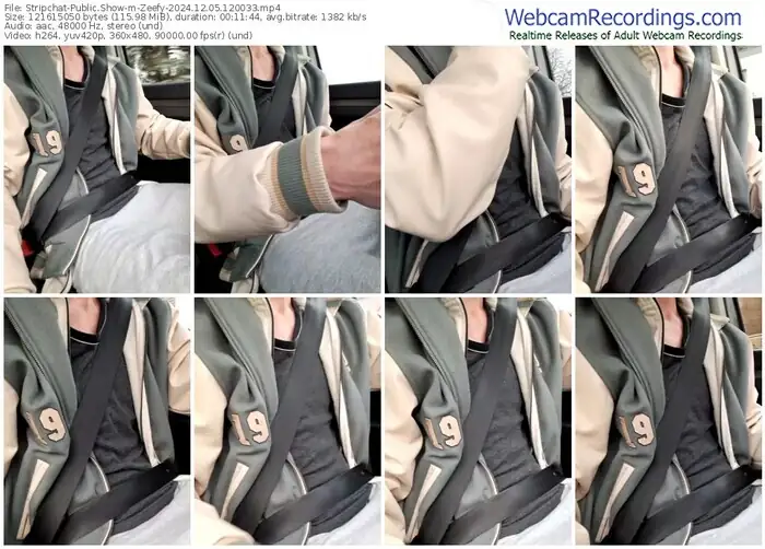 2024/12/05/stripchat-zeefy-12-00-33