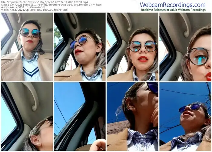 2024/12/06/stripchat-cata_office-12-17-32-58
