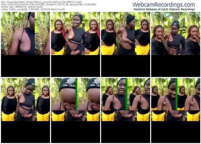 2024/12/06/stripchat-black_juicy24-08-50-17