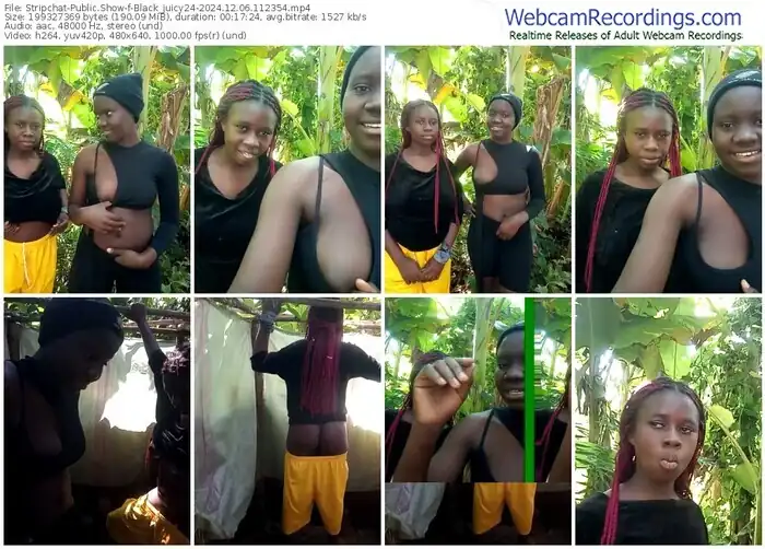 2024/12/06/stripchat-black_juicy24-11-23-54