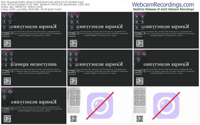 2024/12/06/stripchat-odelladerricott-10-49-20