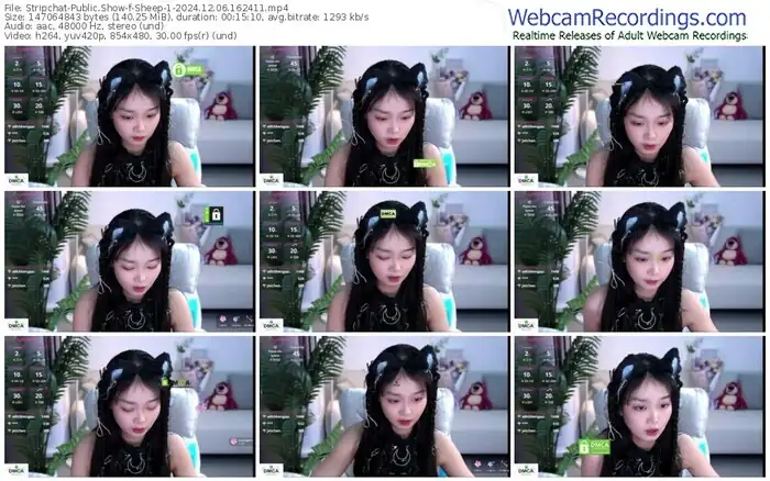 2024/12/06/stripchat-sheep-1-16-24-11