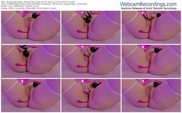 2024/12/06/stripchat-tori_the_witch-10-51-47